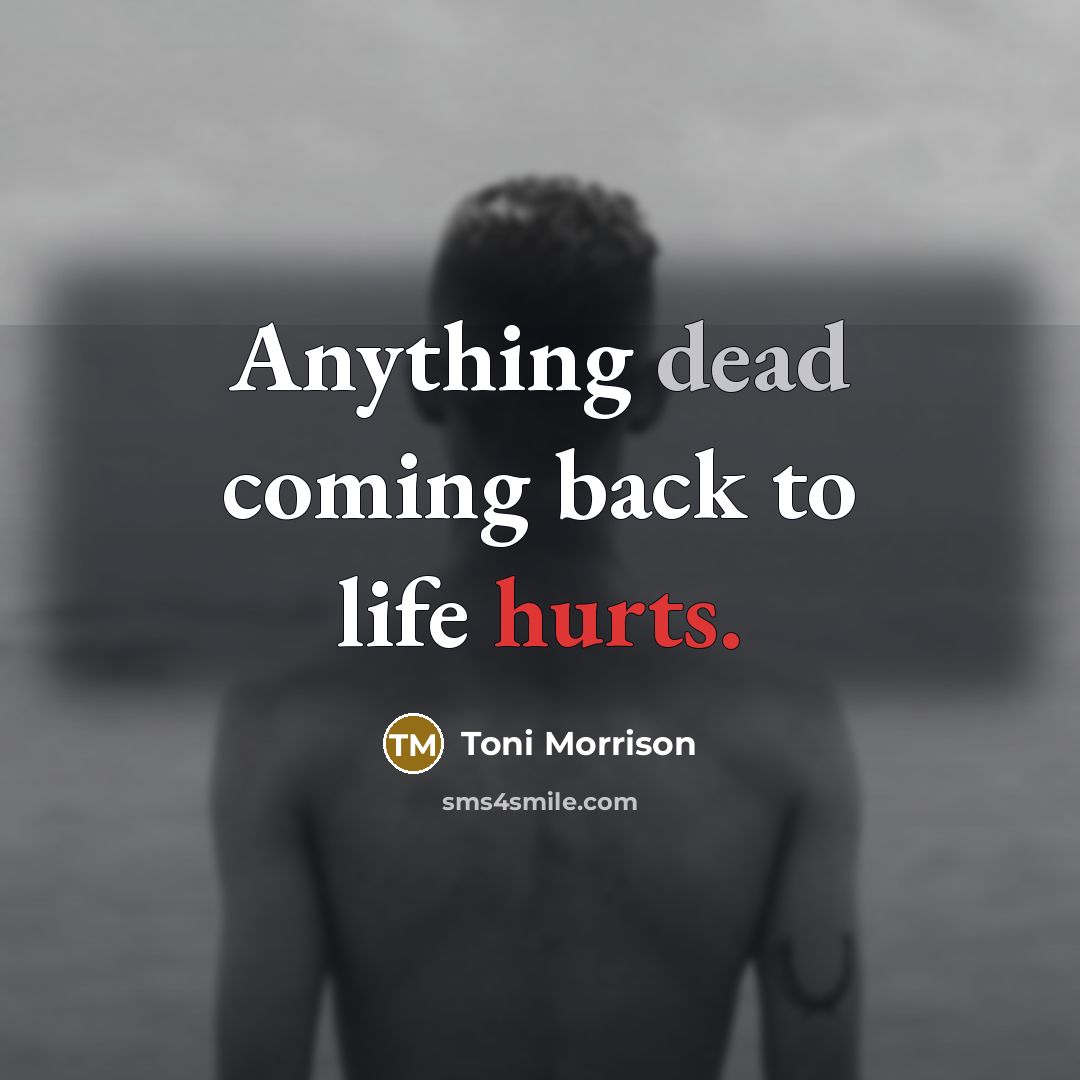 “Anything dead coming back to life hurts.” quote by Toni Morrison