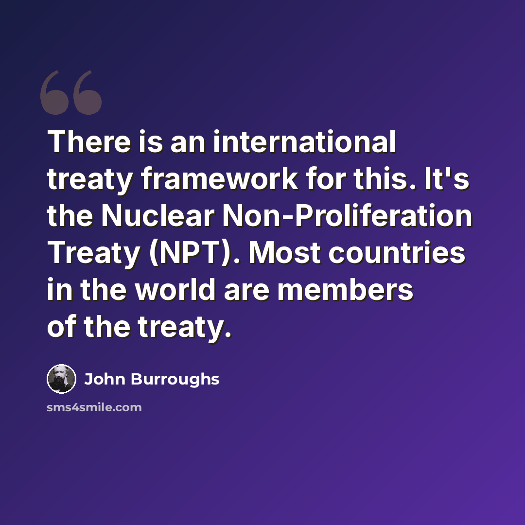 “There is an international treaty framework for this. It's the Nuclear Non-Proliferation Treaty (NPT). Most countries in the world are members of the treaty.” quote by John Burroughs