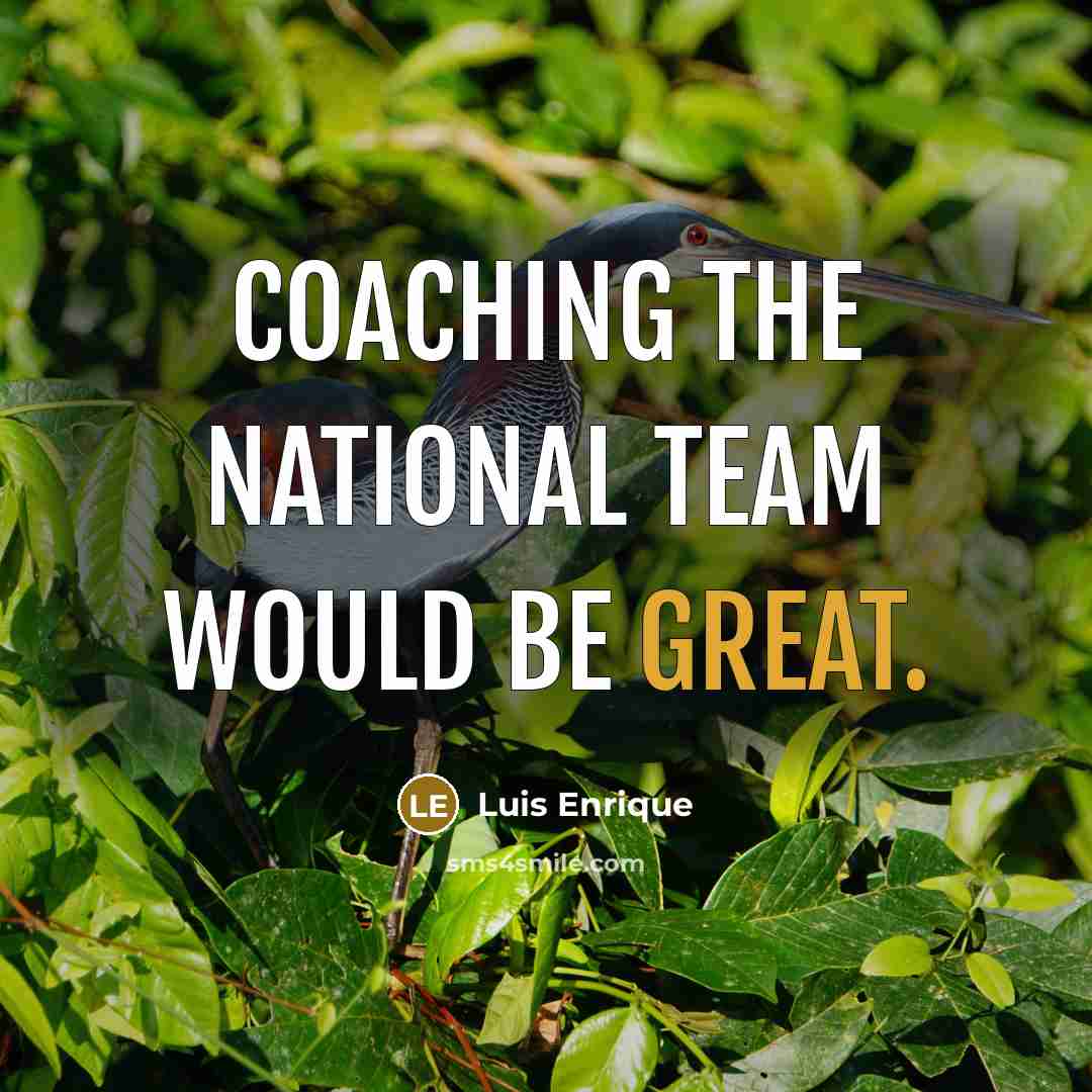 “Coaching the national team would be great.” quote by Luis Enrique