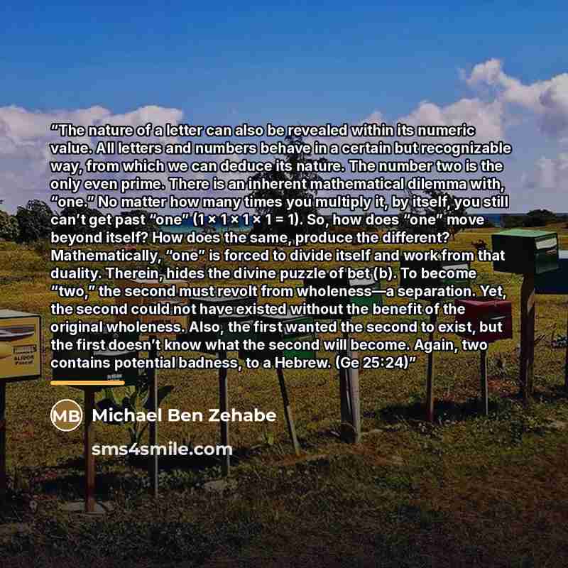 “The nature of a letter can also be revealed within its numeric value. All letters and numbers behave in a certain but recognizable way, from which we can deduce its nature. The number two is the only even prime. There is an inherent mathematical dilemma with, “one.” No matter how many times you…” quote by Michael Ben Zehabe