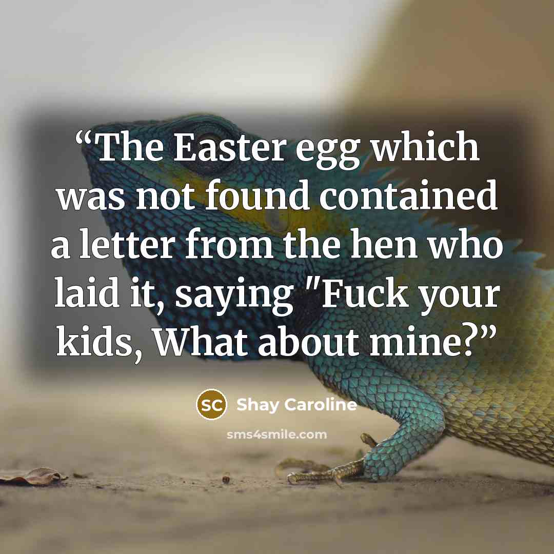 “The Easter egg which was not found contained a letter from the hen who laid it, saying "Fuck your kids, What about mine?” quote by Shay Caroline