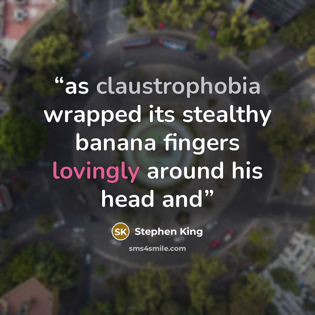 “as claustrophobia wrapped its stealthy banana fingers lovingly around his head and” quote by Stephen King