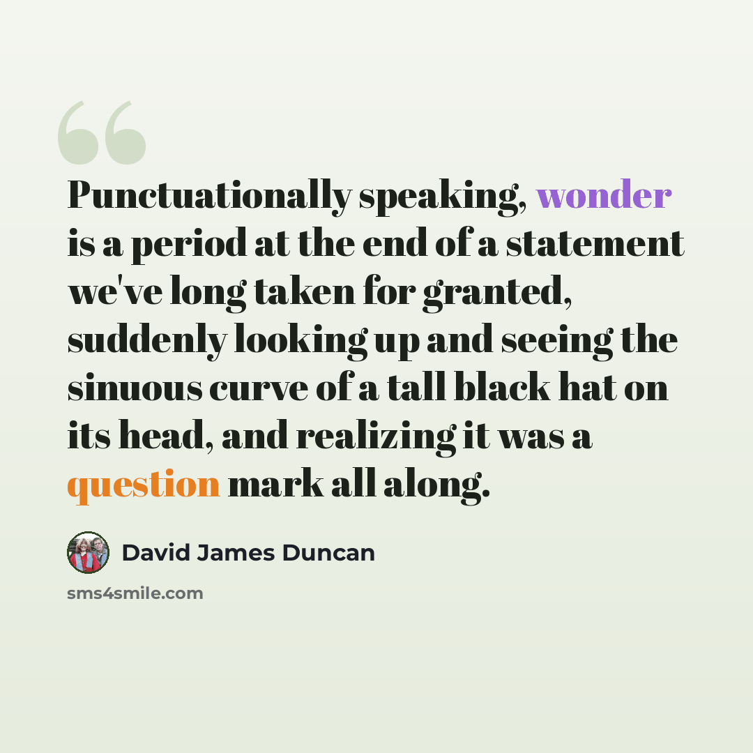 “Punctuationally speaking, wonder is a period at the end of a statement we've long taken for granted, suddenly looking up and seeing the sinuous curve of a tall black hat on its head, and realizing it was a question mark all along.” quote by David James Duncan