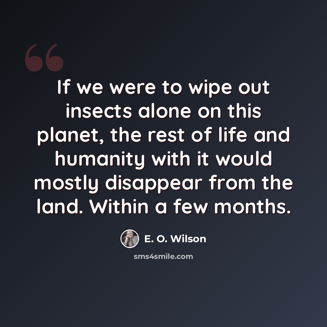 “If we were to wipe out insects alone on this planet, the rest of life and humanity with it would mostly disappear from the land. Within a few months.” quote by E. O. Wilson