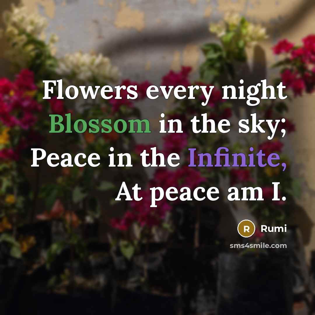 “Flowers every night Blossom in the sky; Peace in the Infinite, At peace am I.” quote by Rumi