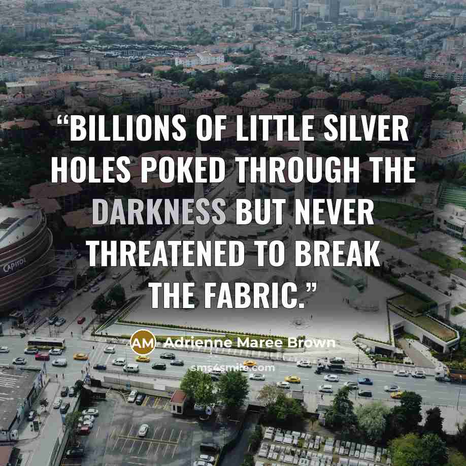 “Billions of little silver holes poked through the darkness but never threatened to break the fabric.” quote by Adrienne Maree Brown