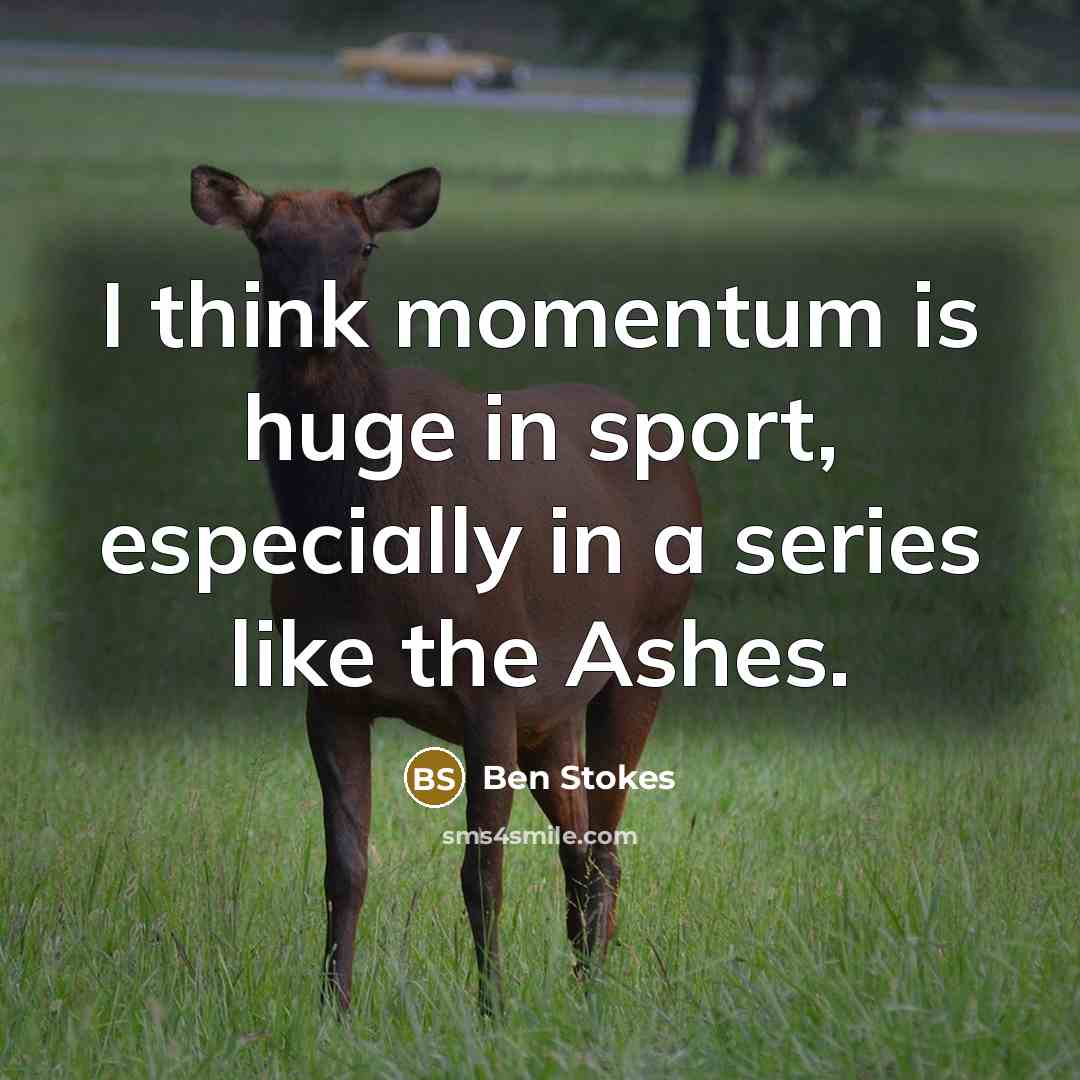 “I think momentum is huge in sport, especially in a series like the Ashes.” quote by Ben Stokes
