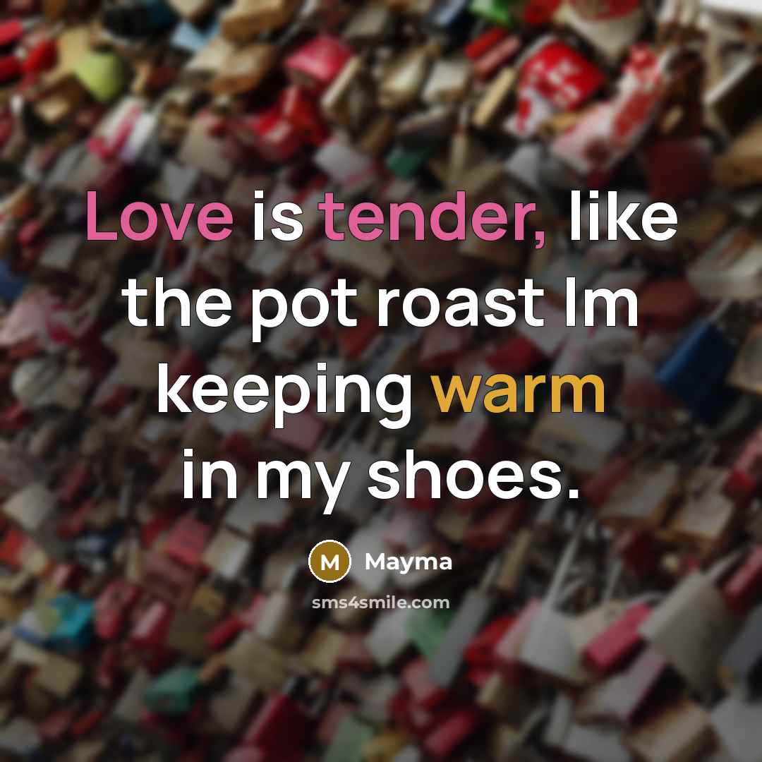 “Love is tender, like the pot roast Im keeping warm in my shoes.” quote by Mayma