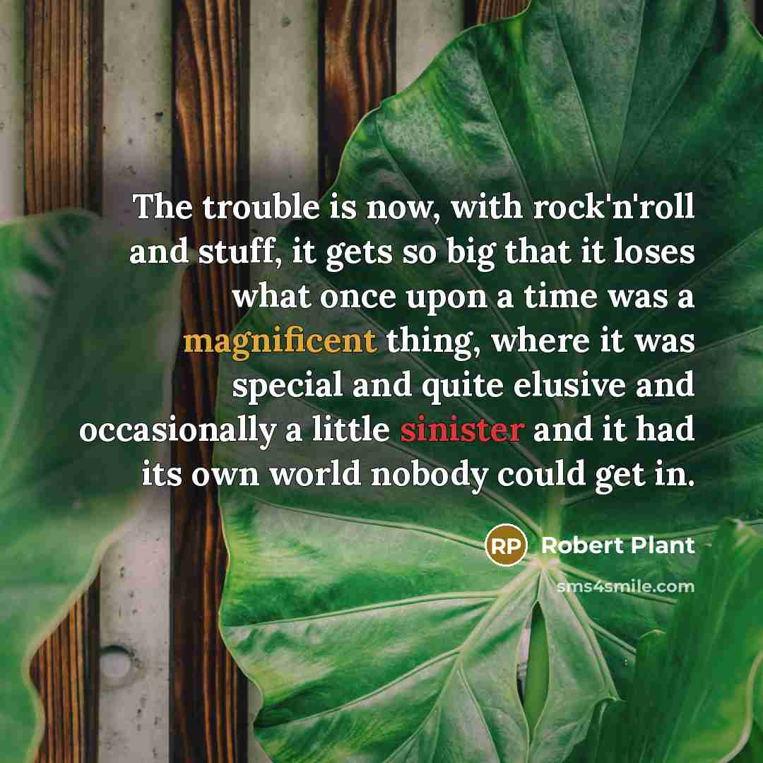 “The trouble is now, with rock'n'roll and stuff, it gets so big that it loses what once upon a time was a magnificent thing, where it was special and quite elusive and occasionally a little sinister and it had its own world nobody could get in.” quote by Robert Plant