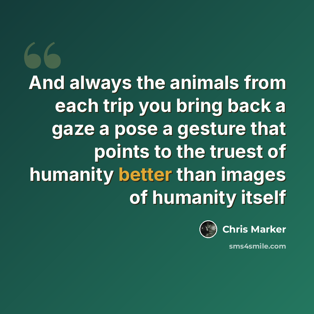 “And always the animals from each trip you bring back a gaze a pose a gesture that points to the truest of humanity better than images of humanity itself” quote by Chris Marker