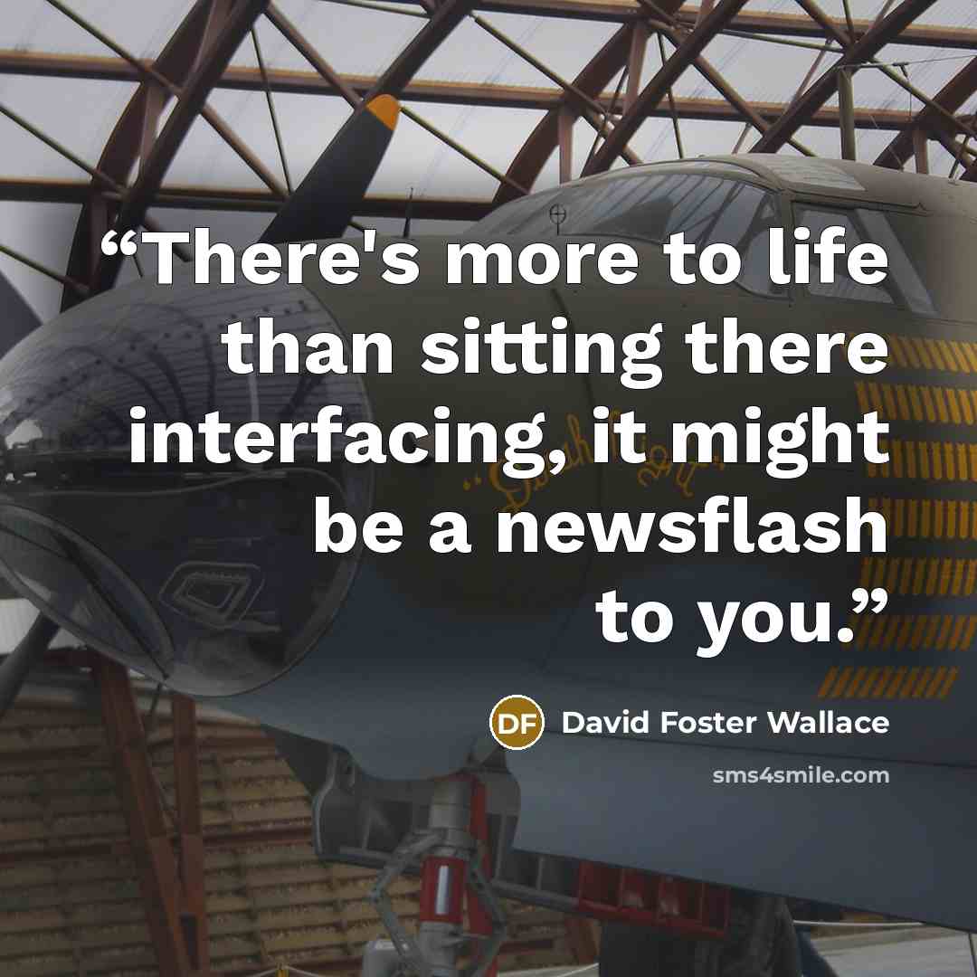 “There's more to life than sitting there interfacing, it might be a newsflash to you.” quote by David Foster Wallace