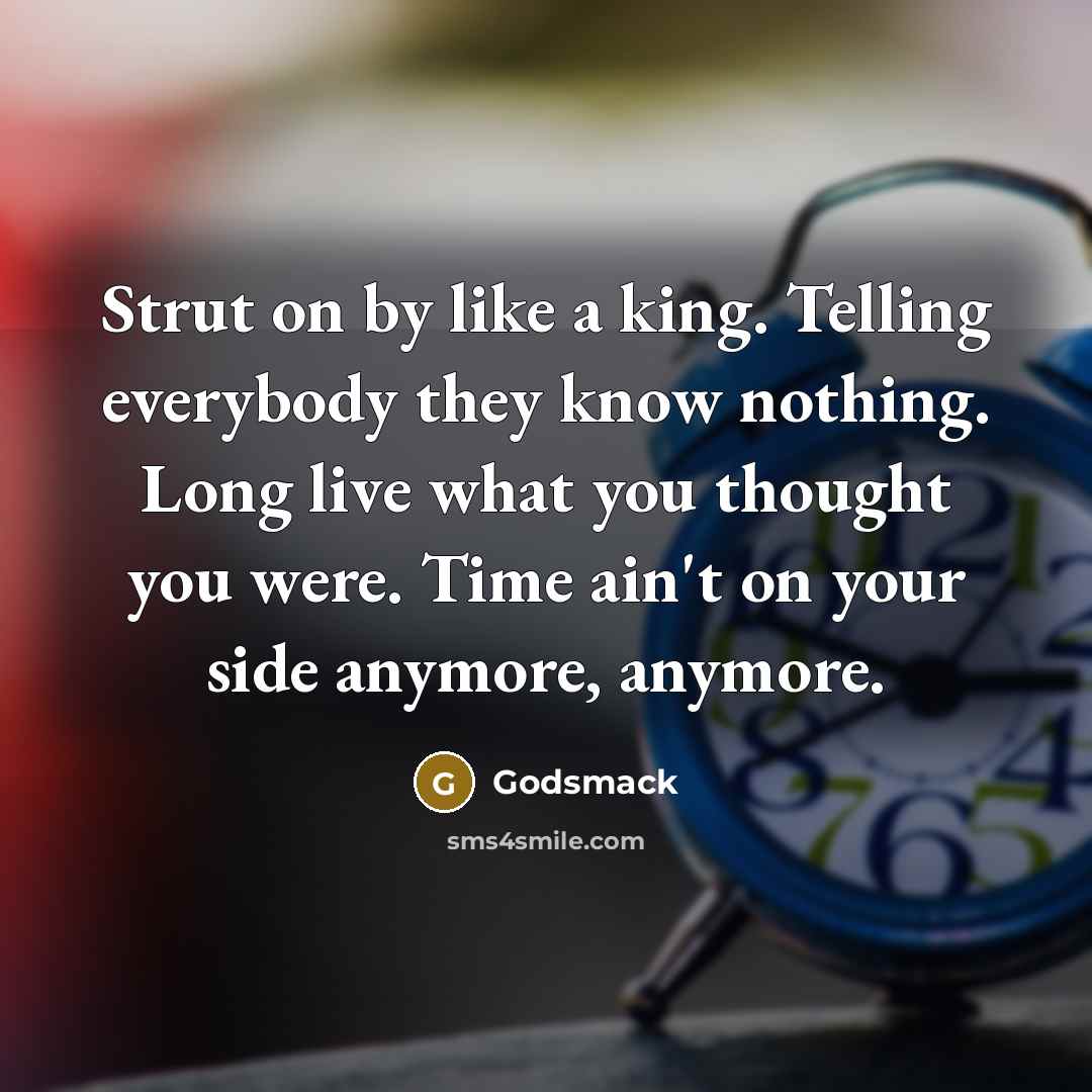 “Strut on by like a king. Telling everybody they know nothing. Long live what you thought you were. Time ain't on your side anymore, anymore.” quote by Godsmack