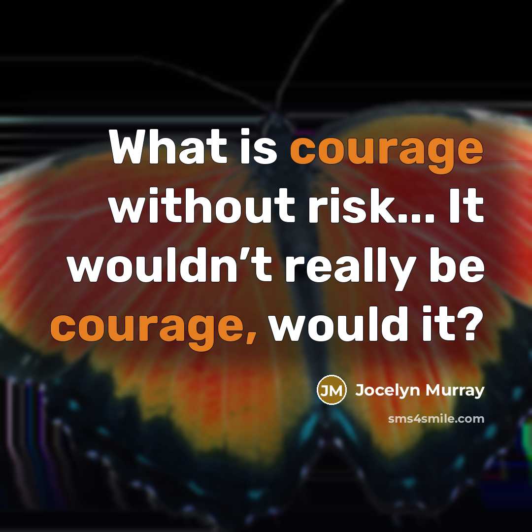 “What is courage without risk... It wouldn’t really be courage, would it?” quote by Jocelyn Murray