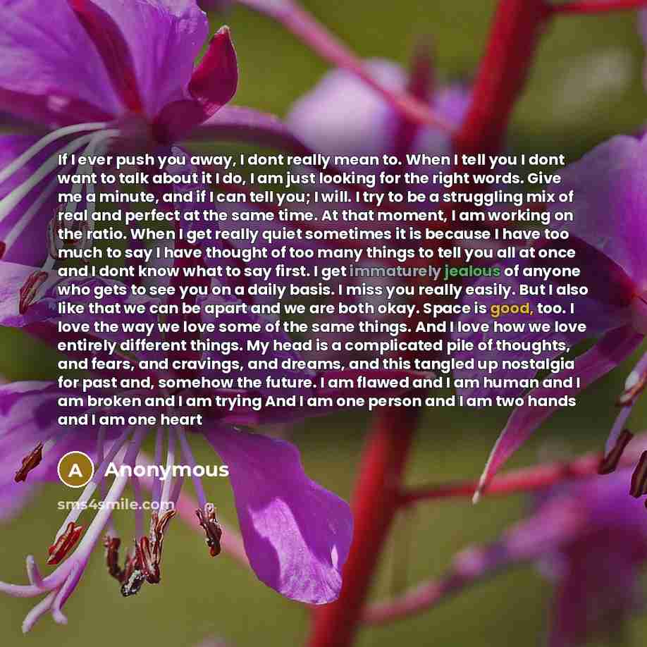 “If I ever push you away, I dont really mean to. When I tell you I dont want to talk about it I do, I am just looking for the right words. Give me a minute, and if I can tell you; I will. I try to be a struggling mix of real and perfect at the same time. At that moment, I am working on the ratio…” quote by Anonymous