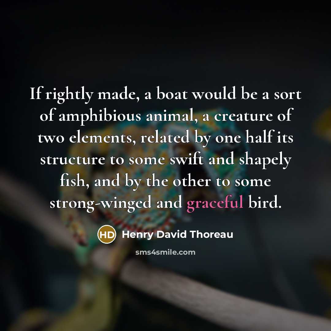 “If rightly made, a boat would be a sort of amphibious animal, a creature of two elements, related by one half its structure to some swift and shapely fish, and by the other to some strong-winged and graceful bird.” quote by Henry David Thoreau