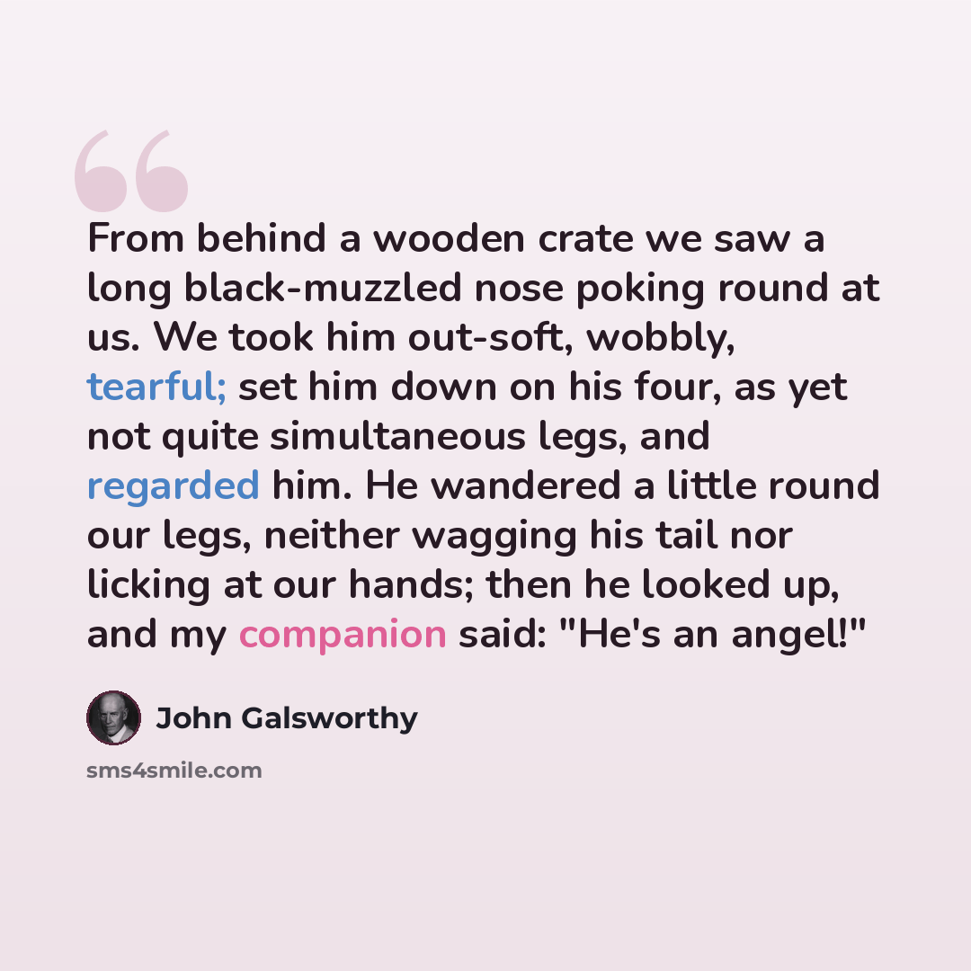 “From behind a wooden crate we saw a long black-muzzled nose poking round at us. We took him out-soft, wobbly, tearful; set him down on his four, as yet not quite simultaneous legs, and regarded him. He wandered a little round our legs, neither wagging his tail nor licking at our hands; then he…” quote by John Galsworthy