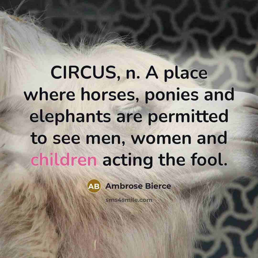 “CIRCUS, n. A place where horses, ponies and elephants are permitted to see men, women and children acting the fool.” quote by Ambrose Bierce