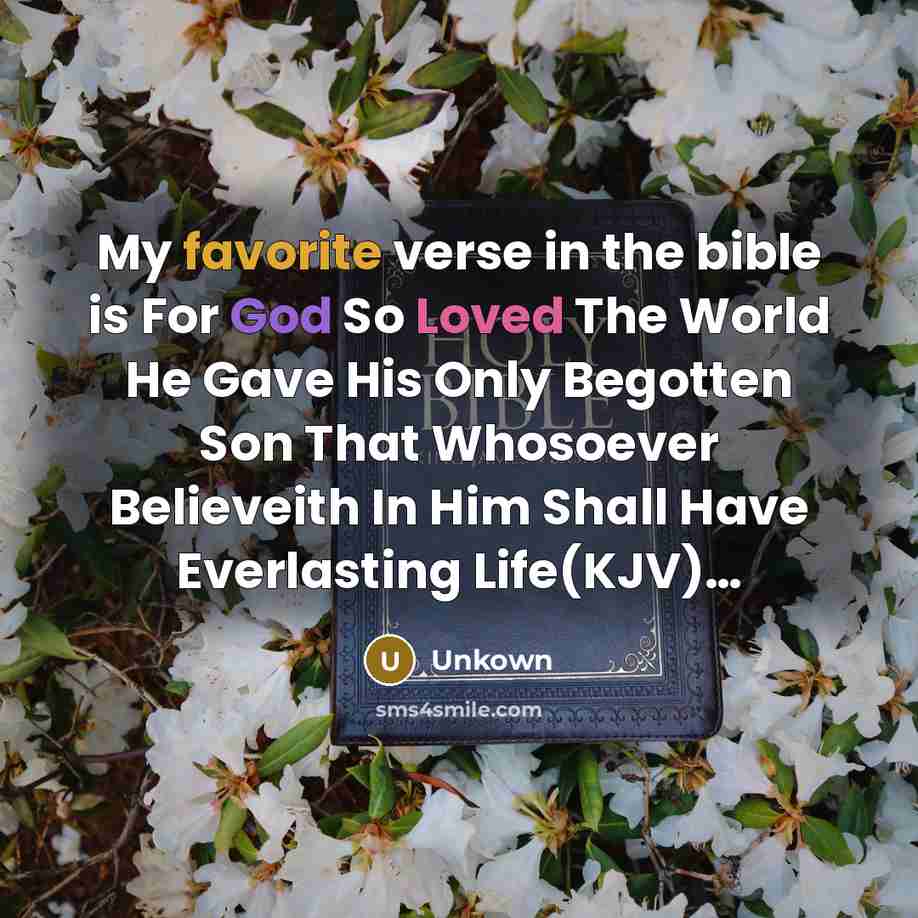 “My favorite verse in the bible is For God So Loved The World He Gave His Only Begotten Son That Whosoever Believeith In Him Shall Have Everlasting Life(KJV)…” quote by Unkown