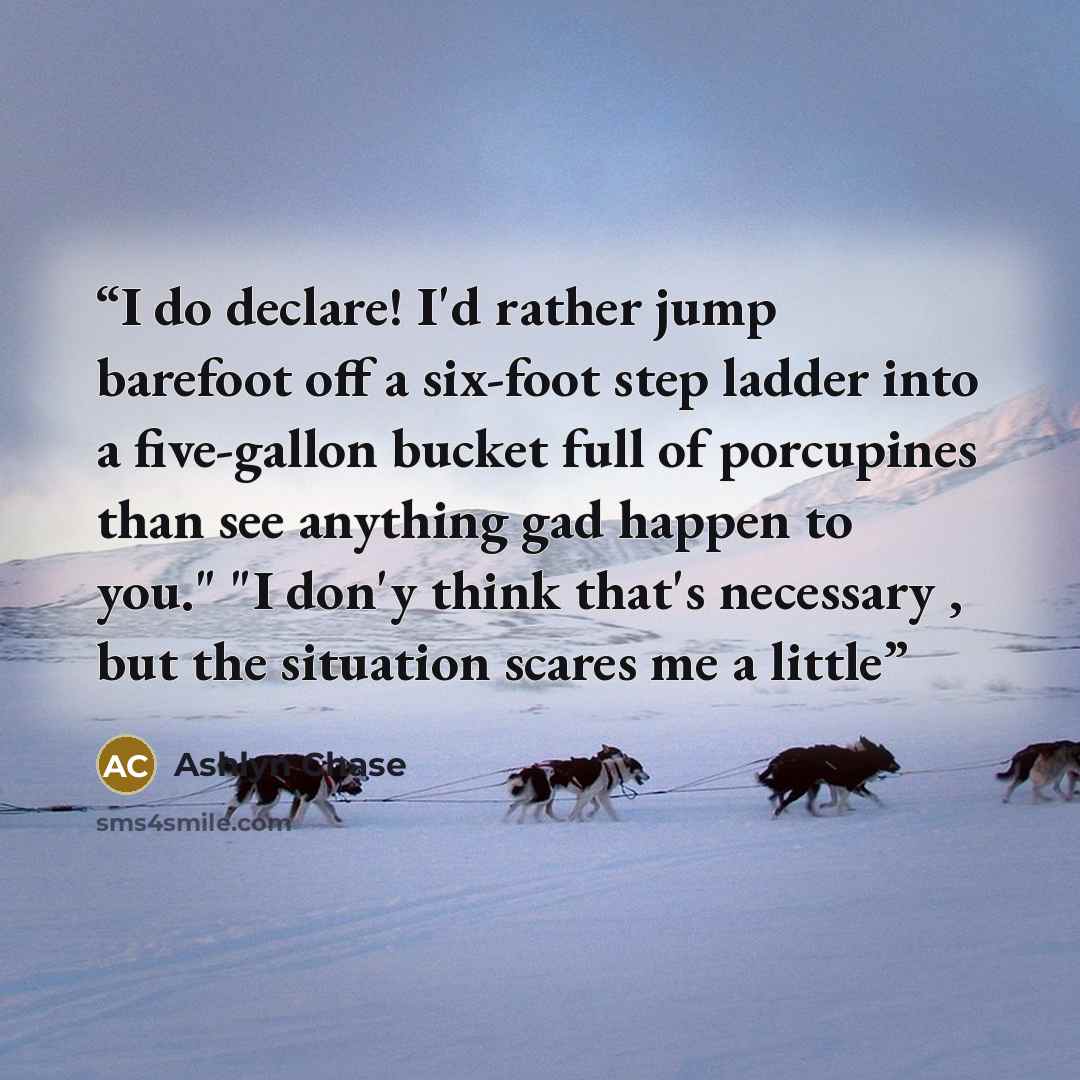 “I do declare! I'd rather jump barefoot off a six-foot step ladder into a five-gallon bucket full of porcupines than see anything gad happen to you." "I don'y think that's necessary , but the situation scares me a little” quote by Ashlyn Chase