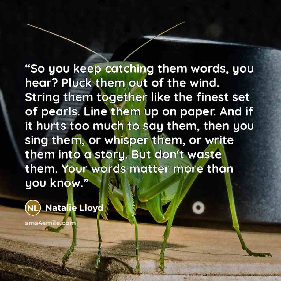 “So you keep catching them words, you hear? Pluck them out of the wind. String them together like the finest set of pearls. Line them up on paper. And if it hurts too much to say them, then you sing them, or whisper them, or write them into a story. But don't waste them. Your words matter more than…” quote by Natalie Lloyd