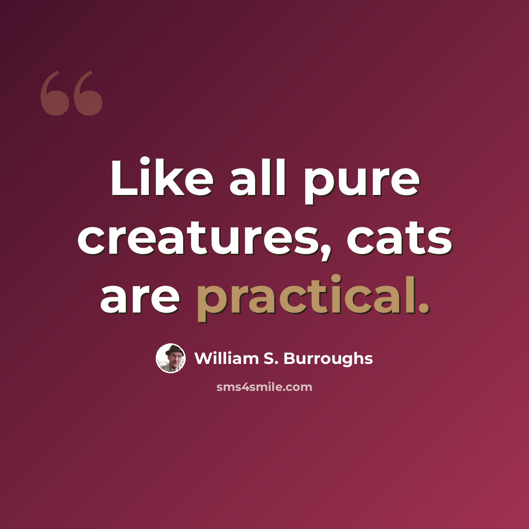 “Like all pure creatures, cats are practical.” quote by William S. Burroughs