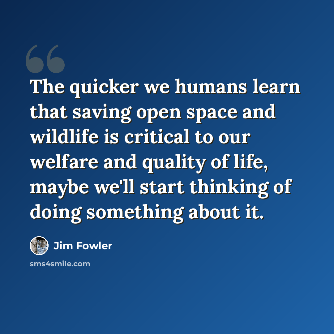 “The quicker we humans learn that saving open space and wildlife is critical to our welfare and quality of life, maybe we'll start thinking of doing something about it.” quote by Jim Fowler