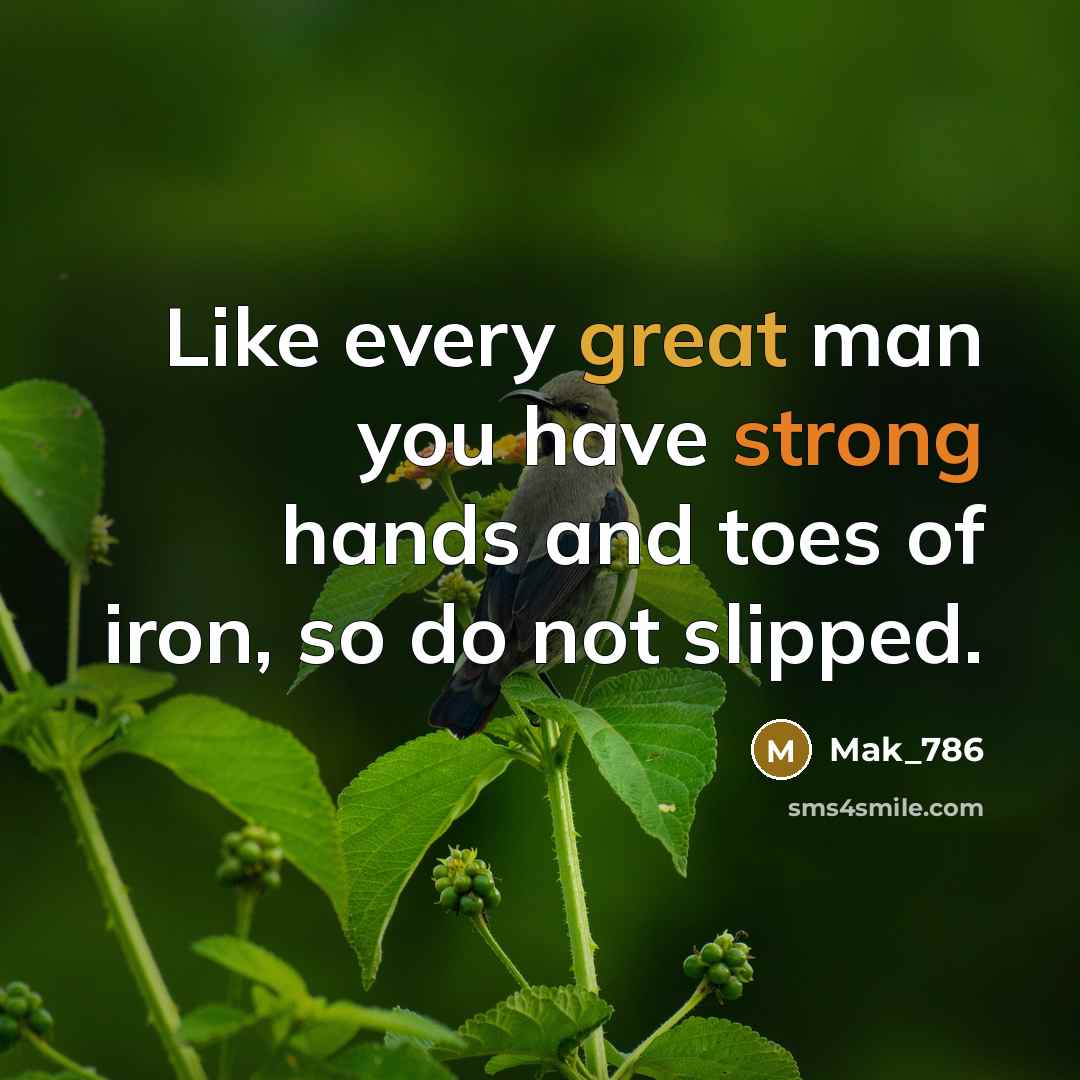 “Like every great man you have strong hands and toes of iron, so do not slipped.” quote by Mak_786