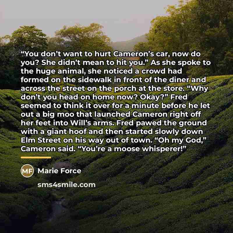 “You don’t want to hurt Cameron’s car, now do you? She didn’t mean to hit you.” As she spoke to the huge animal, she noticed a crowd had formed on the sidewalk in front of the diner and across the street on the porch at the store. “Why don’t you head on home now? Okay?” Fred seemed to think it over…” quote by Marie Force