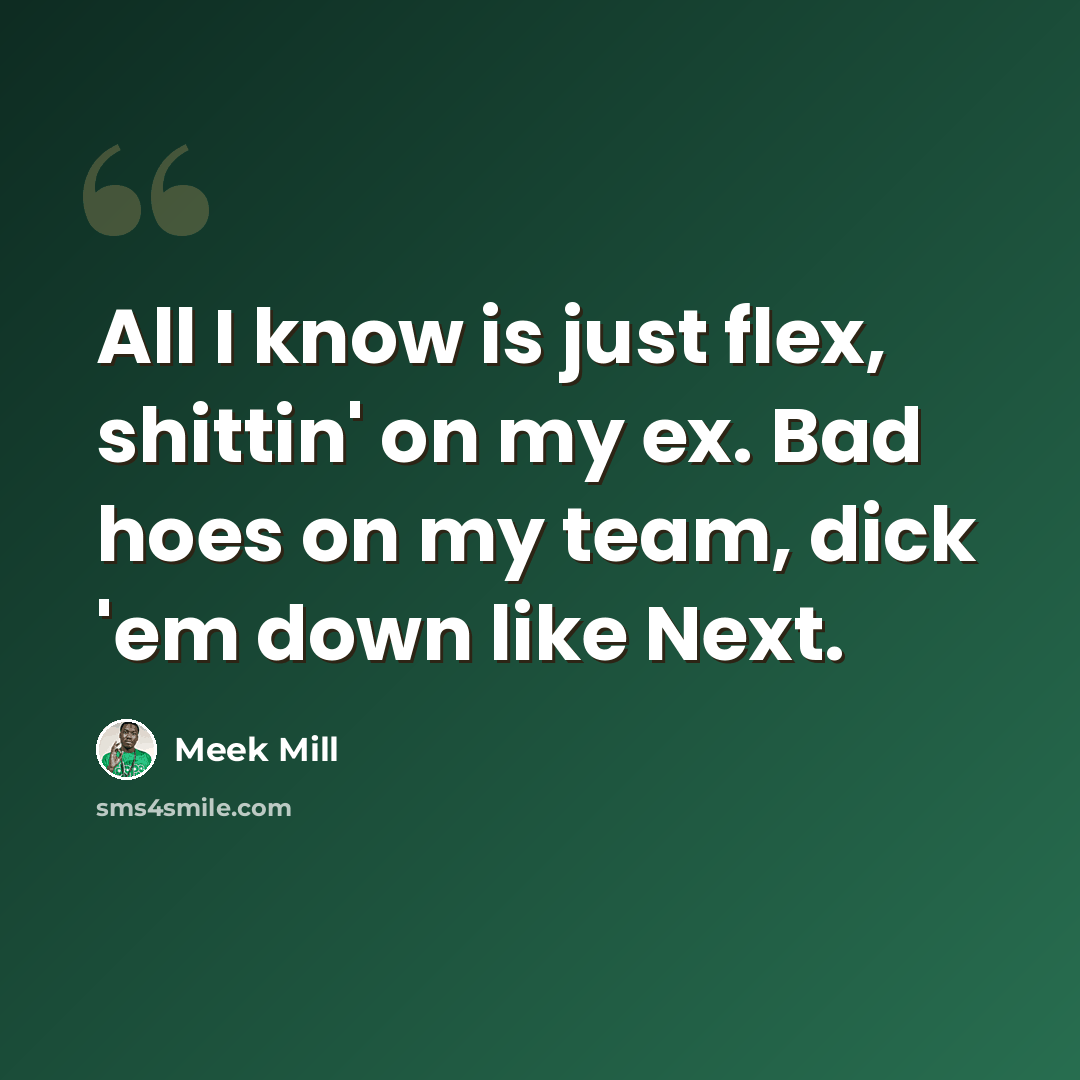 “All I know is just flex, shittin' on my ex. Bad hoes on my team, dick 'em down like Next.” quote by Meek Mill