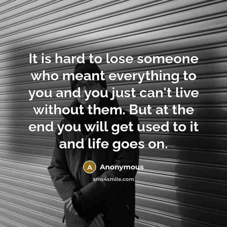 “It is hard to lose someone who meant everything to you and you just can't live without them. But at the end you will get used to it and life goes on.” quote by Anonymous