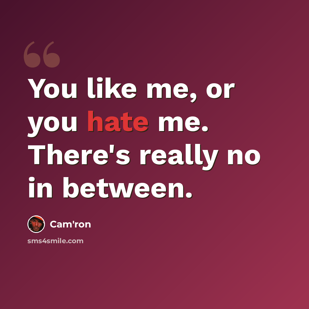 “You like me, or you hate me. There's really no in between.” quote by Cam'ron