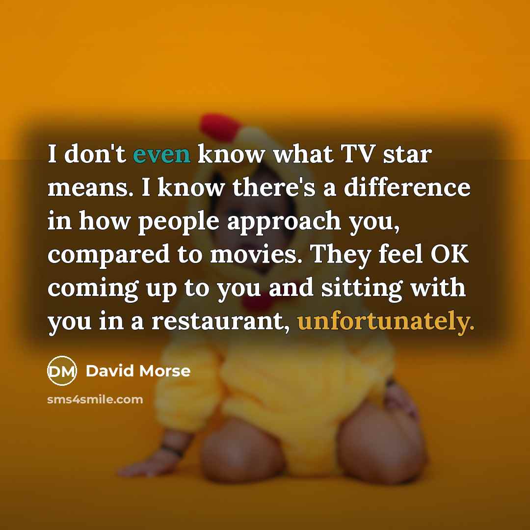 “I don't even know what TV star means. I know there's a difference in how people approach you, compared to movies. They feel OK coming up to you and sitting with you in a restaurant, unfortunately.” quote by David Morse