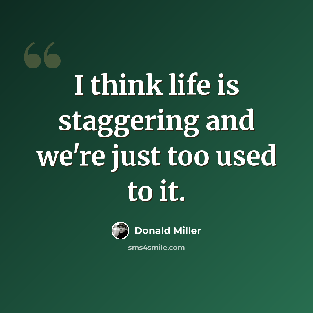 “I think life is staggering and we're just too used to it.” quote by Donald Miller