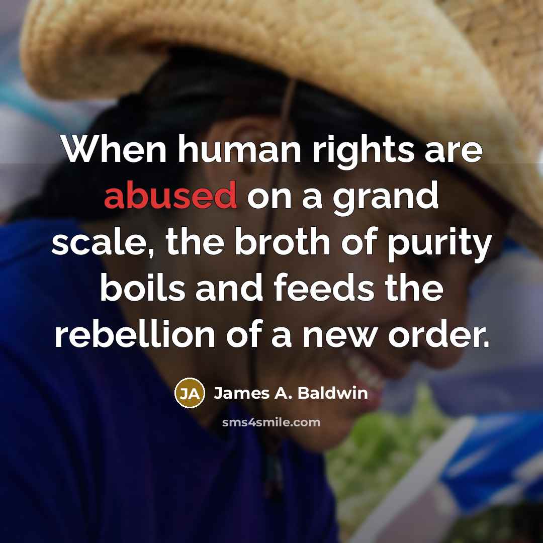 “When human rights are abused on a grand scale, the broth of purity boils and feeds the rebellion of a new order.” quote by James A. Baldwin