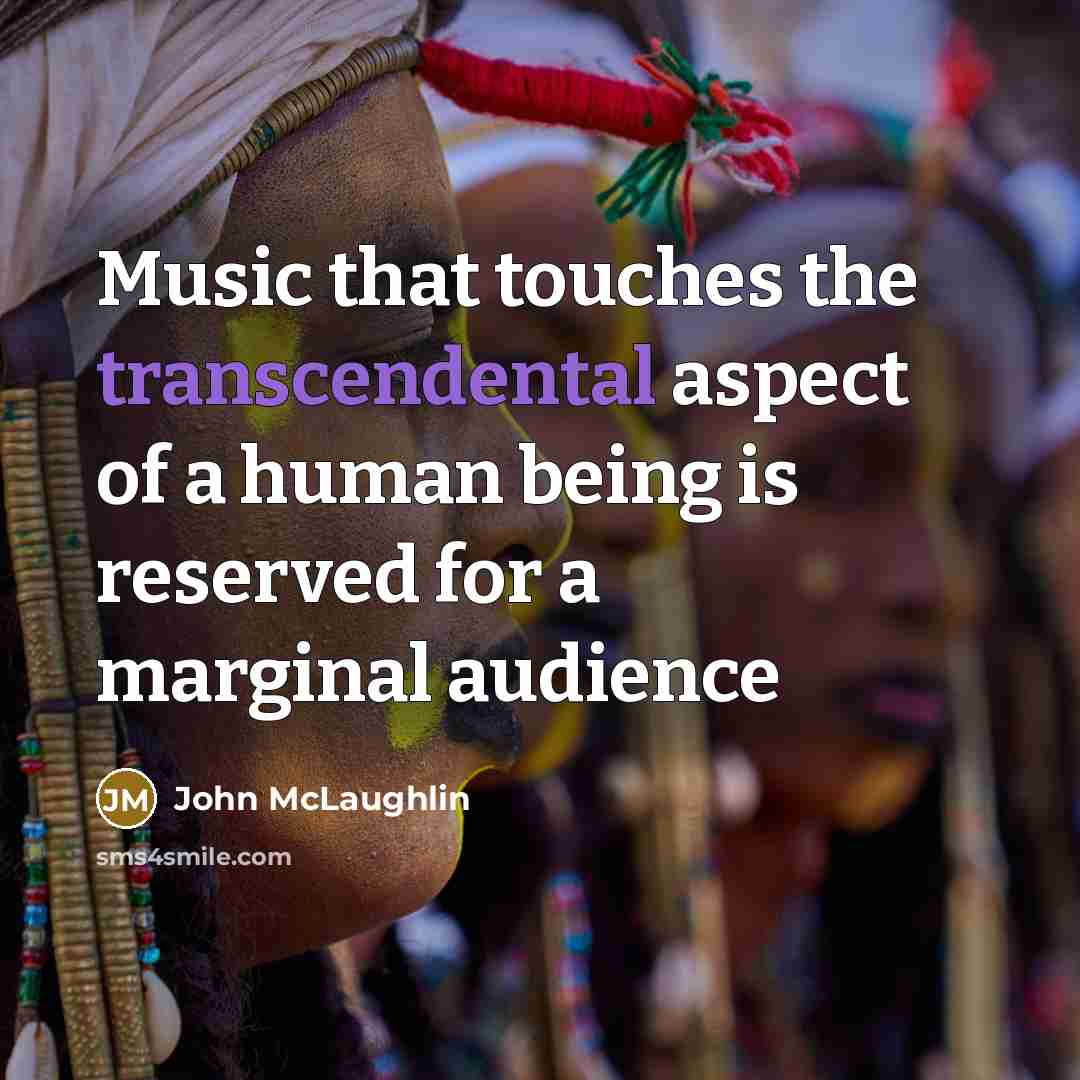 “Music that touches the transcendental aspect of a human being is reserved for a marginal audience” quote by John McLaughlin