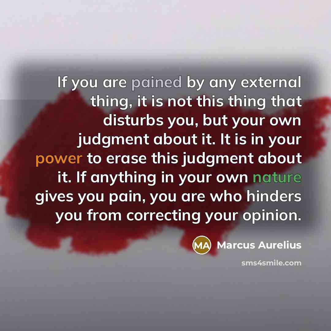 “If you are pained by any external thing, it is not this thing that disturbs you, but your own judgment about it. It is in your power to erase this judgment about it. If anything in your own nature gives you pain, you are who hinders you from correcting your opinion.” quote by Marcus Aurelius