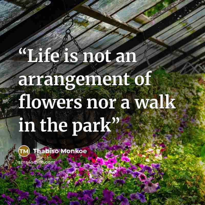 “Life is not an arrangement of flowers nor a walk in the park” quote by Thabiso Monkoe