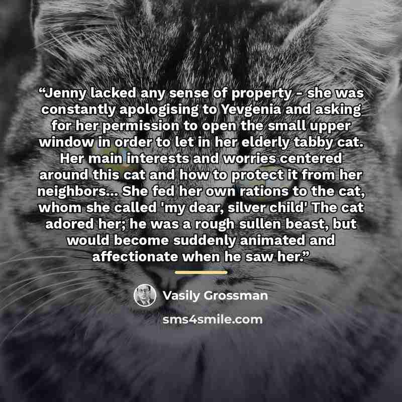“Jenny lacked any sense of property - she was constantly apologising to Yevgenia and asking for her permission to open the small upper window in order to let in her elderly tabby cat. Her main interests and worries centered around this cat and how to protect it from her neighbors... She fed her own…” quote by Vasily Grossman