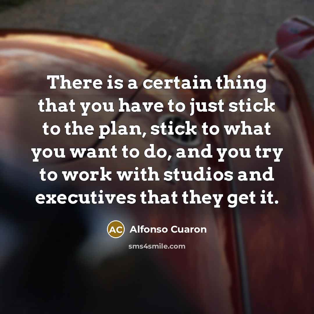 “There is a certain thing that you have to just stick to the plan, stick to what you want to do, and you try to work with studios and executives that they get it.” quote by Alfonso Cuaron