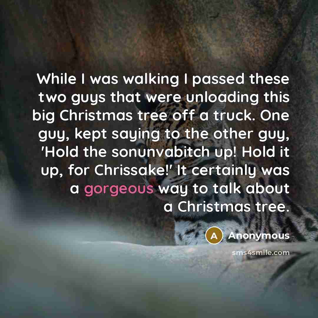 “While I was walking I passed these two guys that were unloading this big Christmas tree off a truck. One guy, kept saying to the other guy, 'Hold the sonunvabitch up! Hold it up, for Chrissake!' It certainly was a gorgeous way to talk about a Christmas tree.” quote by Anonymous