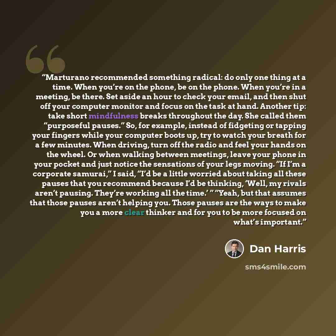 “Marturano recommended something radical: do only one thing at a time. When you’re on the phone, be on the phone. When you’re in a meeting, be there. Set aside an hour to check your email, and then shut off your computer monitor and focus on the task at hand. Another tip: take short mindfulness…” quote by Dan Harris