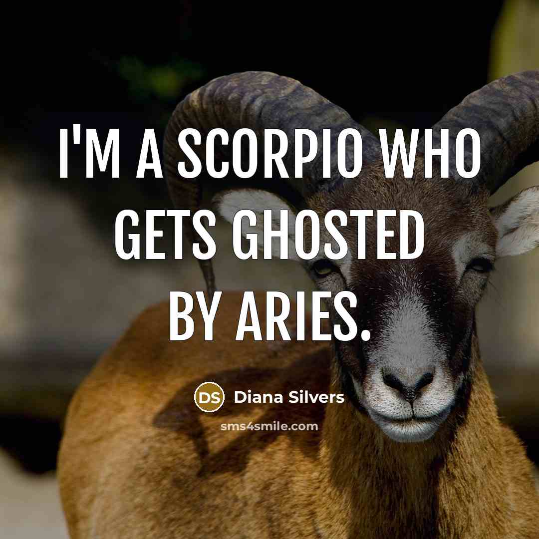 “I'm a Scorpio who gets ghosted by Aries.” quote by Diana Silvers