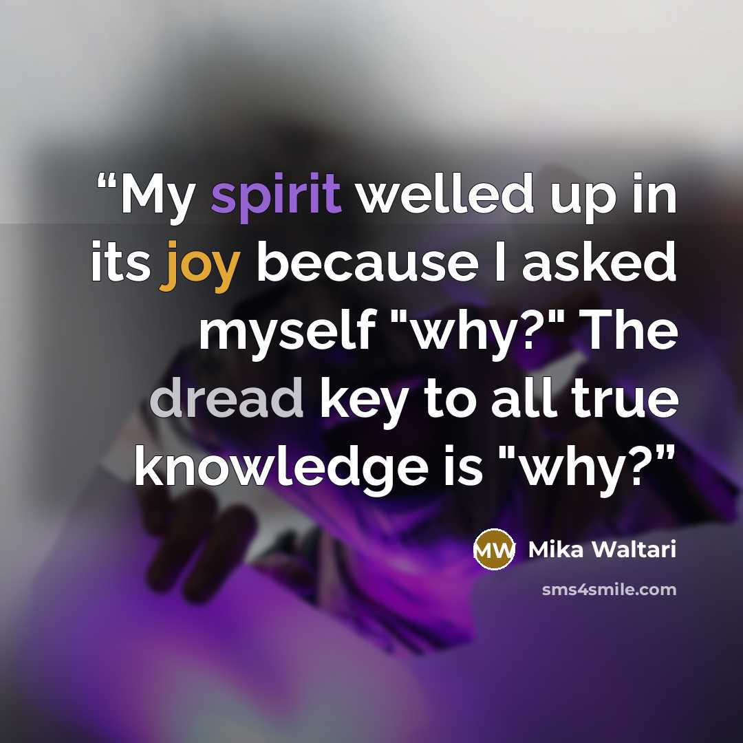 “My spirit welled up in its joy because I asked myself "why?" The dread key to all true knowledge is "why?” quote by Mika Waltari