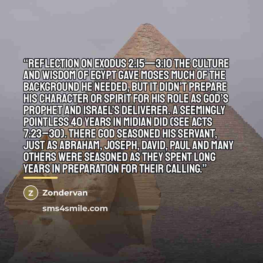 “Reflection on Exodus 2:15—3:10 The culture and wisdom of Egypt gave Moses much of the background he needed, but it didn’t prepare his character or spirit for his role as God’s prophet and Israel’s deliverer. A seemingly pointless 40 years in Midian did (see Acts 7:23–30). There God seasoned his…” quote by Zondervan