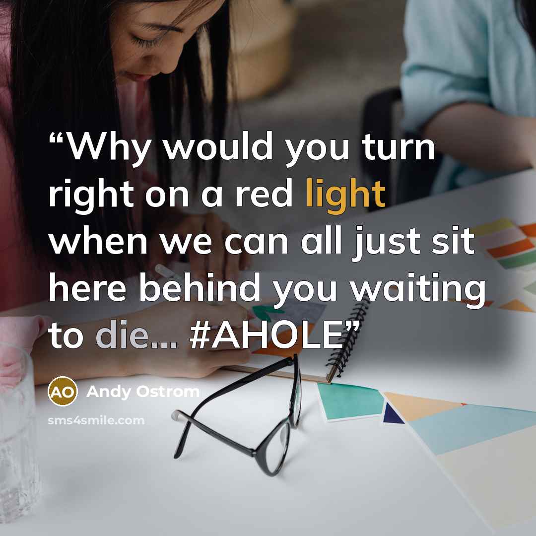 “Why would you turn right on a red light when we can all just sit here behind you waiting to die... #AHOLE” quote by Andy Ostrom