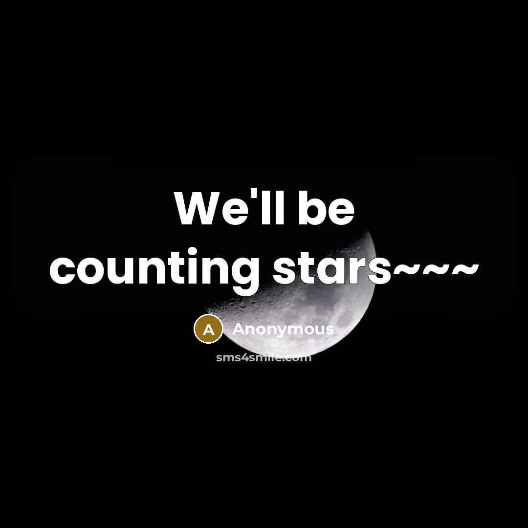 “We'll be counting stars~~~” quote by Anonymous