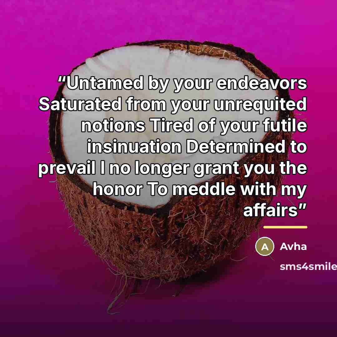 “Untamed by your endeavors Saturated from your unrequited notions Tired of your futile insinuation Determined to prevail I no longer grant you the honor To meddle with my affairs” quote by Avha