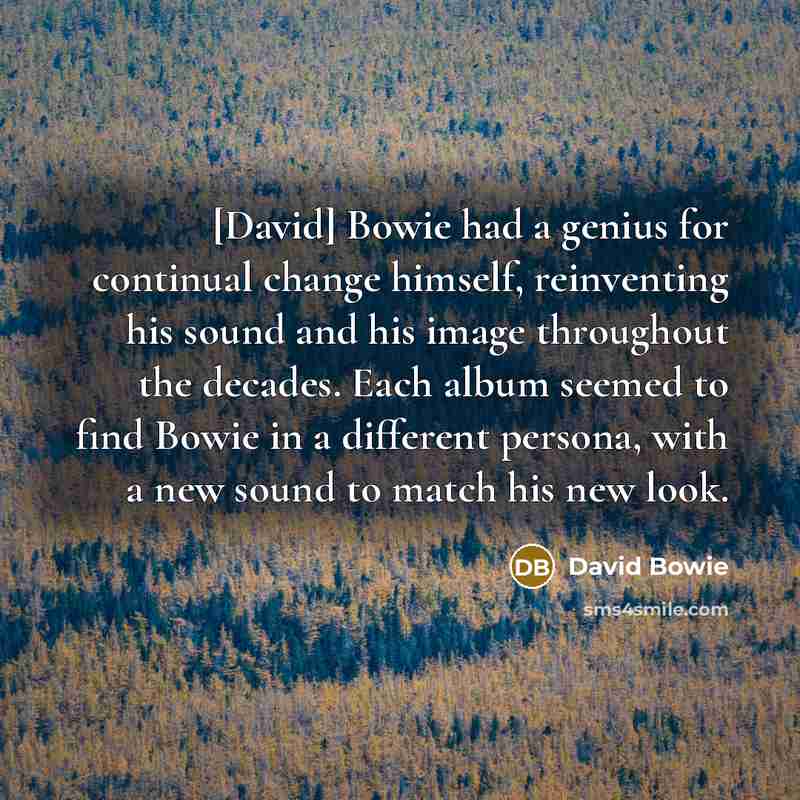 “[David] Bowie had a genius for continual change himself, reinventing his sound and his image throughout the decades. Each album seemed to find Bowie in a different persona, with a new sound to match his new look.” quote by David Bowie