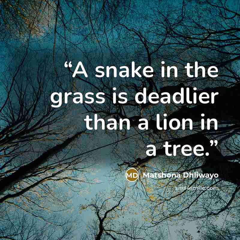 “A snake in the grass is deadlier than a lion in a tree.” quote by Matshona Dhliwayo