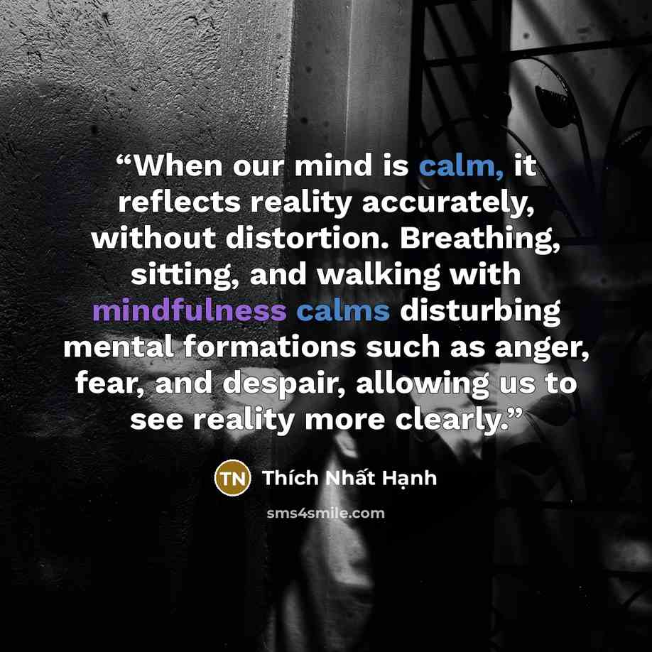“When our mind is calm, it reflects reality accurately, without distortion. Breathing, sitting, and walking with mindfulness calms disturbing mental formations such as anger, fear, and despair, allowing us to see reality more clearly.” quote by Thích Nhất Hạnh